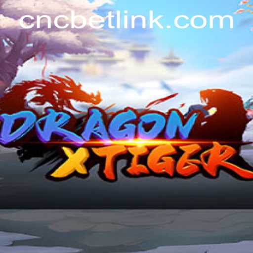 DragonXTiger: Unveiling the Game Dynamics and Rules for Enthusiasts